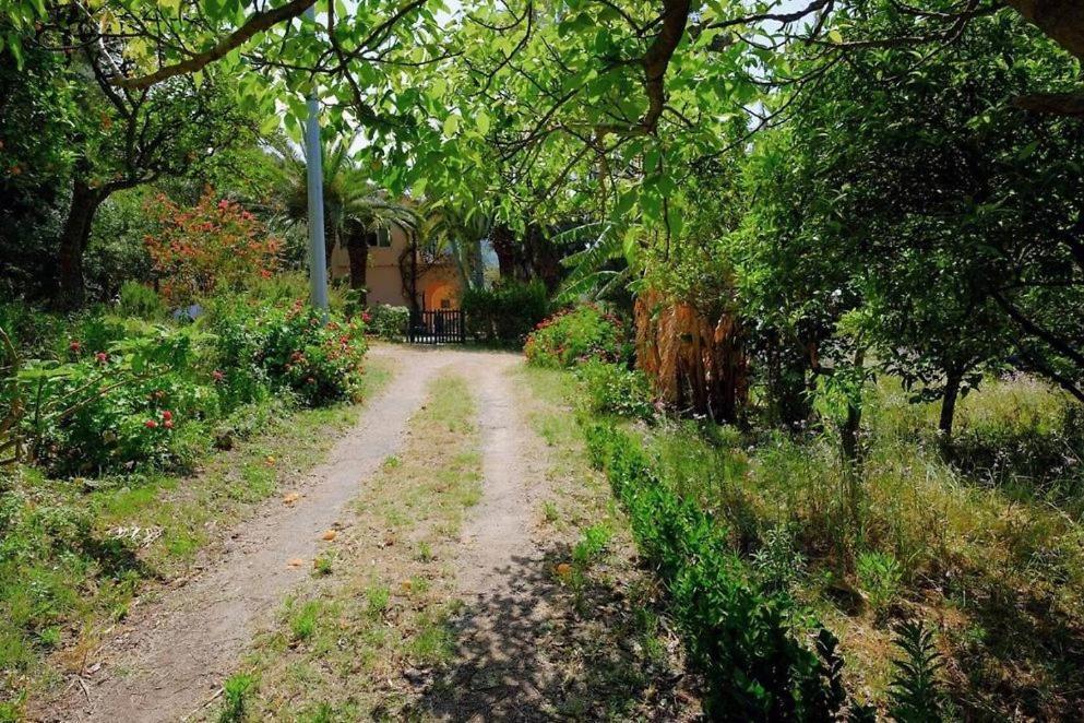 Aparthotel Residenza Crivo Parghelia Exteriér fotografie